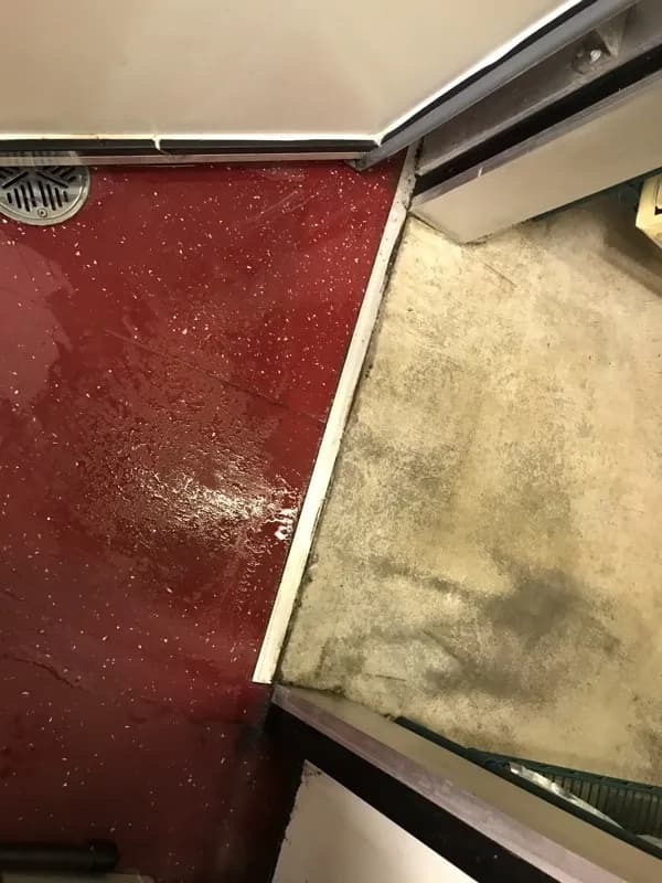 Is Your Commercial Fridge or Display Cabinet Leaking Water?