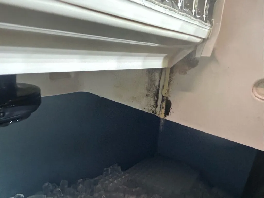 Common Ice Machine Myths Debunked