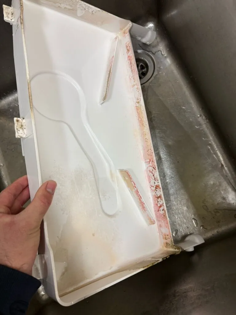 Pink Mould in Your Ice Machine? Here’s What It Means — and How to Prevent It