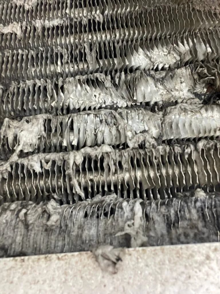 Top 5 Tips for Owners to Maintain Commercial Refrigeration Efficiency