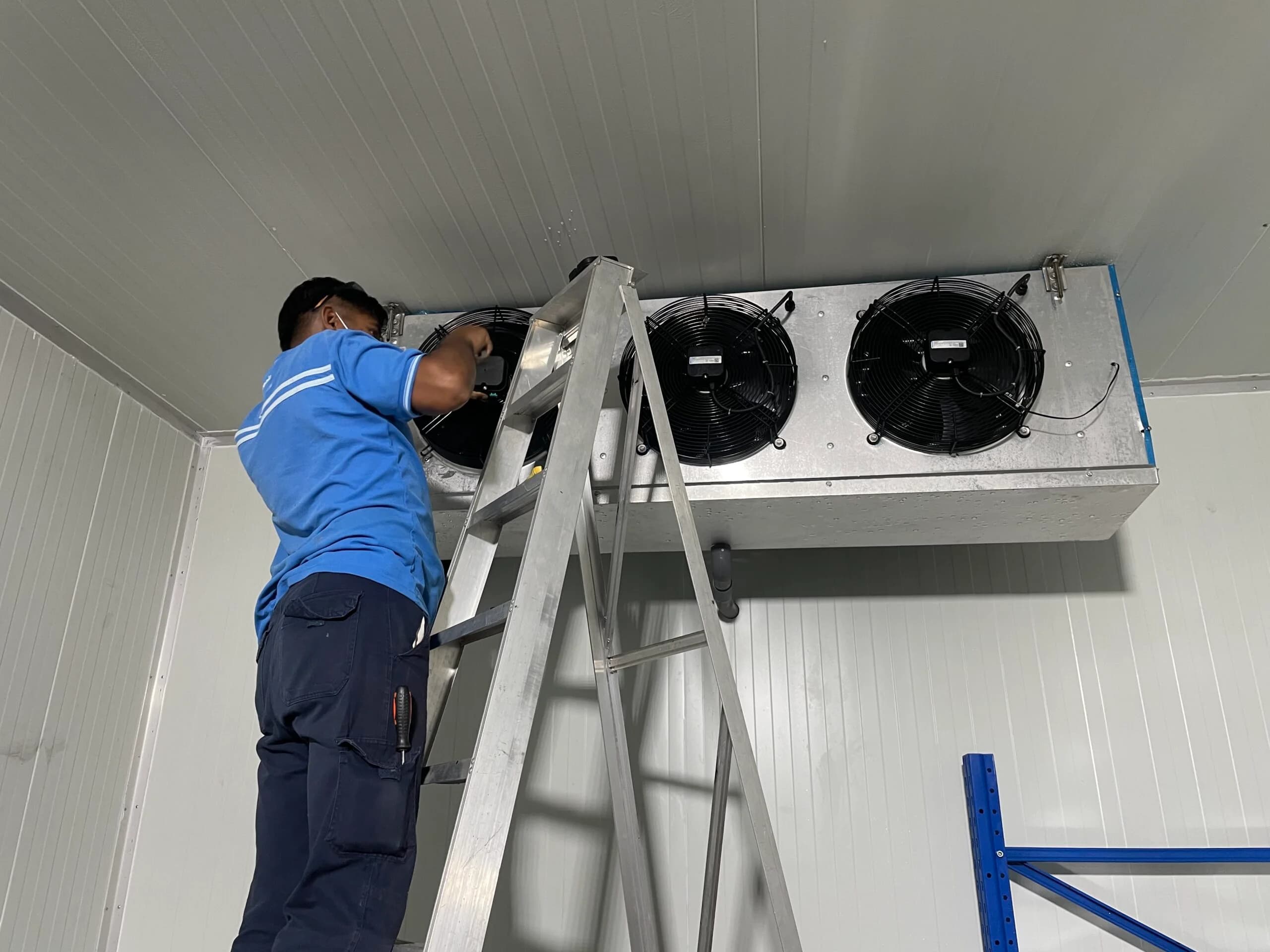 Cold Room Maintenance: What to Check Monthly