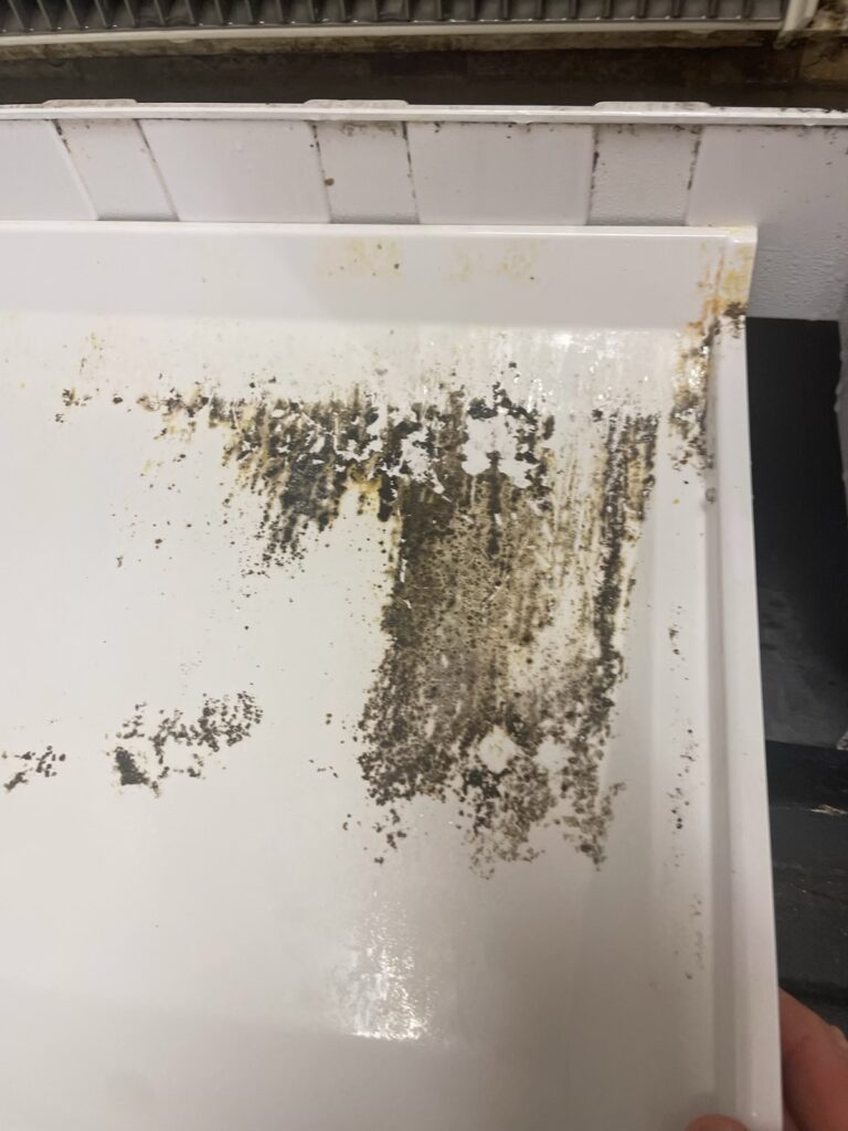 Mould growing on an ice machine tray