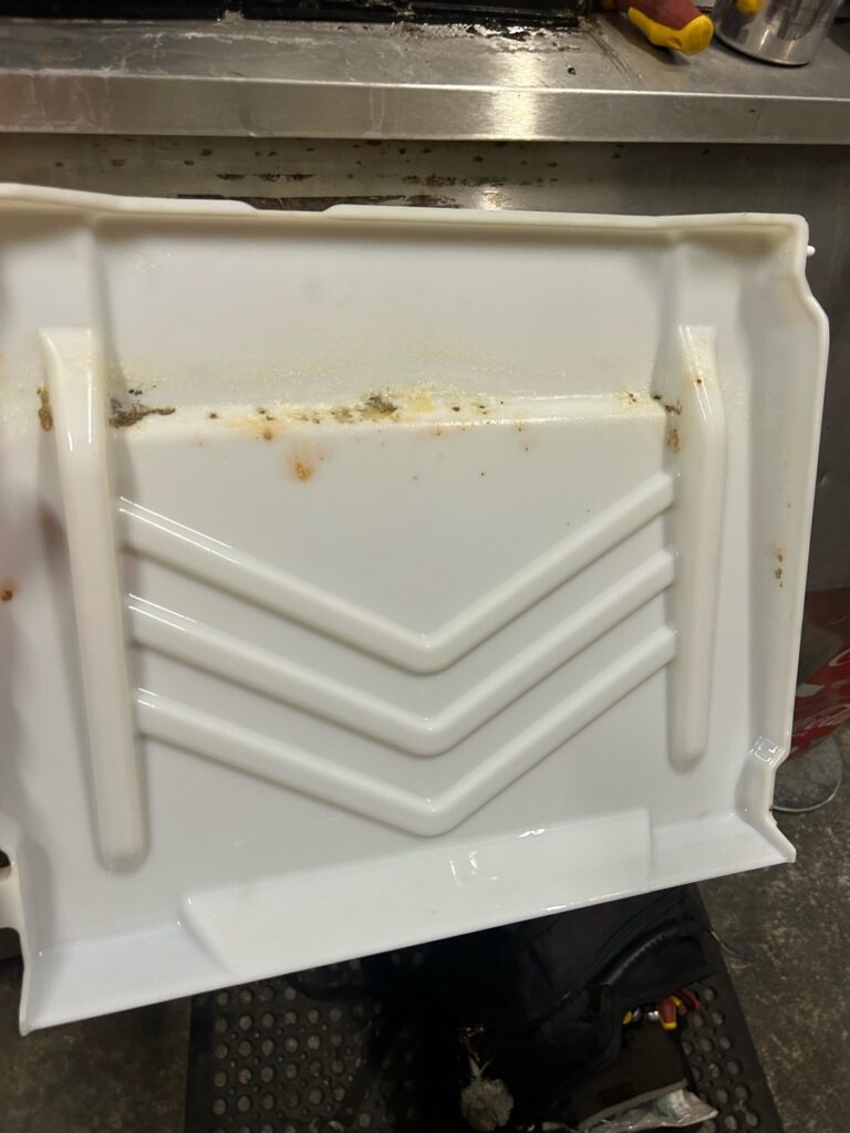 Mould growing on an ice machine tray
