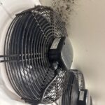 Mould growing on a cold room ceiling