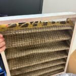 Disintegrated and filthy HVAC filter from a commercial venue, showing the result of years of neglected maintenance by a low-cost competitor.